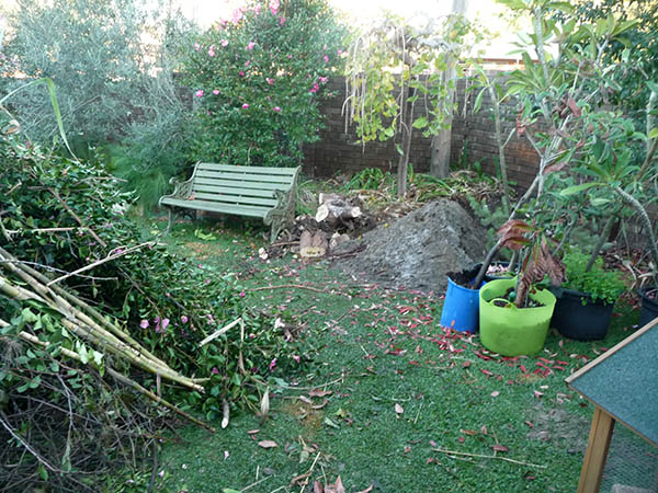 garden rampage_the next day1