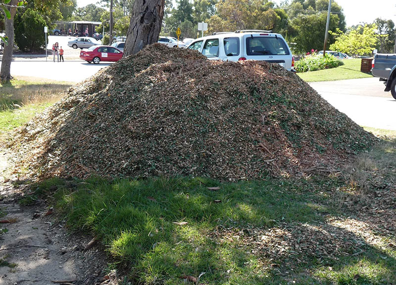 mulch pile