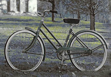 raleigh bike.pg